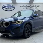 BMW X1 2021 из Китая