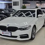 BMW 5 Series (Import) 2018 из Китая