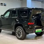 Tank Tank 700 New Energy 2024 из Китая