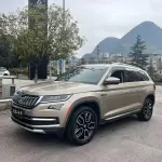 Skoda Kodiaq 2020 из Китая