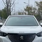 Peugeot 2008 2021 из Китая