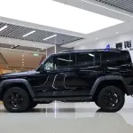 Tank Tank 300 2021 из Китая