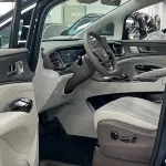 Denza Denza D9 2023 из Китая