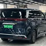 Denza Denza D9 2023 из Китая
