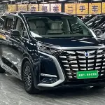 Denza Denza D9 2023 из Китая