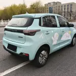 Lei Ding Leiding Mango 2021 из Китая