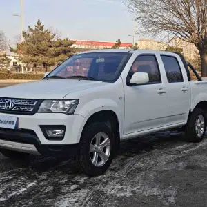Kaicheng Shenqi F30 2021 из Китая