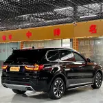 Hongqi Hongqi HS7 2023 из Китая