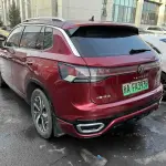 Volkswagen GTE PHEV 2024 из Китая