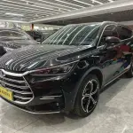 BYD Tang New Energy 2022 из Китая