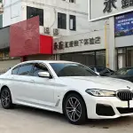 BMW 5 Series 2021 184 л.с. 184 л.с. из Китая