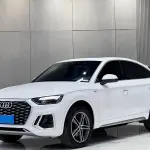 Audi Q5L Sportback 2023 190 л.с. из Китая