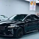 Geely Xingrui 2024 из Китая