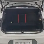 BMW X2 2021 из Китая