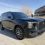 GAC Motor Trumpchi GS8 2024 из Китая