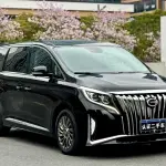 GAC Motor Trumpchi M8 2021 252 л.с. — лот 57719224 из Китая