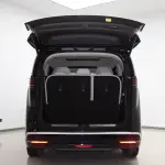 Denza Denza D9 2025 из Китая