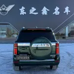 Tank Tank 500 New Energy 2025 864 л.с. из Китая