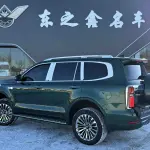 Tank Tank 500 New Energy 2025 864 л.с. из Китая