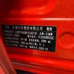 Tank Tank 300 2024 из Китая