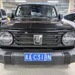 Tank Tank 300 2025 227 л.с. 227 л.с. 227 л.с. из Китая