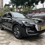 Hongqi Hongqi HS5 2023 224 л.с. — лот 57729650 из Китая