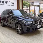 BMW X5 (Import) 2021 из Китая