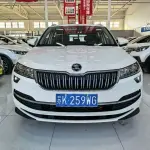 Skoda Karoq 2022 из Китая