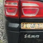 Fengxing Lingzhi 2021 122 л.с. из Китая