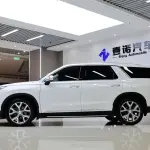 Hyundai Palisade 2021 из Китая