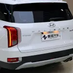 Hyundai Palisade 2021 из Китая