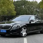 Mercedes-Benz S-Class 2013 из Китая