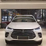 BYD Tang New Energy 2019 из Китая