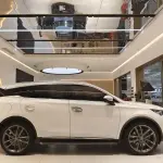 BYD Tang New Energy 2019 из Китая