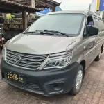 Fengxing Lingzhi 2020 из Китая