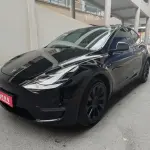 Tesla Model Y 2021 лот 57677003 из Китая