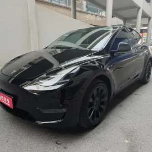 Tesla Model Y 2021 лот 57677003 из Китая