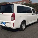 Wuling Zhengcheng 2023 из Китая