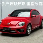 Volkswagen Beetle 2017 из Китая