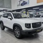 Haval Big Dog 2020 из Китая