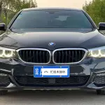 BMW 5 Series 2019 252 л.с. — лот 57739341 из Китая