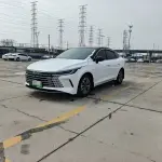 BYD Destroyer 05 2024 из Китая