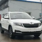 Skoda Kamiq 2022 из Китая