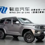 Tank Tank 700 New Energy 2024 из Китая