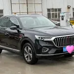 Hongqi Hongqi HS5 2020 224 л.с. 224 л.с. из Китая