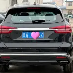 Hongqi Hongqi HS5 2020 224 л.с. 224 л.с. из Китая