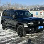 Tank Tank 300 2023 из Китая