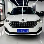 Skoda Kamiq 2022 из Китая
