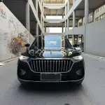 Hongqi Hongqi HS5 2021 из Китая