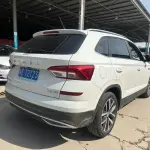Skoda Kamiq 2024 из Китая